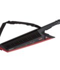 Roland AX-EDGE BK